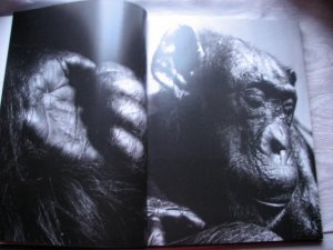 gebrauchtes Buch – gary heery – Zoo - Fotoband - (engl.- dt. - franz.)