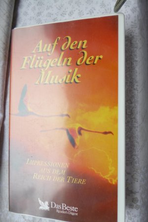 Auf den Flügeln der Musik