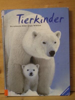 gebrauchtes Buch – diverse – "Tierkinder" Die schönsten Bilder junger Wildtiere