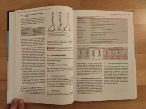 gebrauchtes Buch – Kirsten Götz-Neumann – Gehen verstehen - Ganganalyse in der Physiotherapie