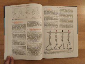 gebrauchtes Buch – Kirsten Götz-Neumann – Gehen verstehen - Ganganalyse in der Physiotherapie