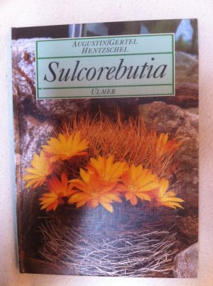 Sulcorebutia - Kakteenzwerge der bolivianischen Anden