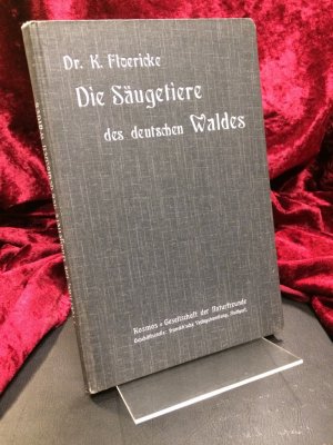 antiquarisches Buch – Kurt Floericke – Die Säugetiere des deutschen Waldes. Mit zahlreichen Abbildungen nach Originalzeichnungen von E. Arndt.