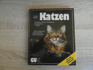 Katzen