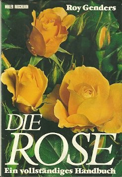 Die Rose.