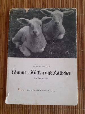 Lämmer, Kücken, Kälbchen   ein Tierkinderbuch