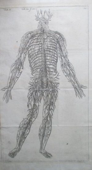 gebrauchtes Buch – Anatomie. – Blutkreislauf des Menschen (1). Kupferstich ohne nähere Angaben aus einem Werk des 17. Jahrhunderts, gefaltet, ca. 38,5 x 21,5 cm. gebrauchtes Buch – Anatomie. – Blutkreislauf des Menschen (1). Kupferstich ohne nähere Angaben aus einem Werk des 17. Jahrhunderts, gefaltet, ca. 38,5 x 21,5 cm.