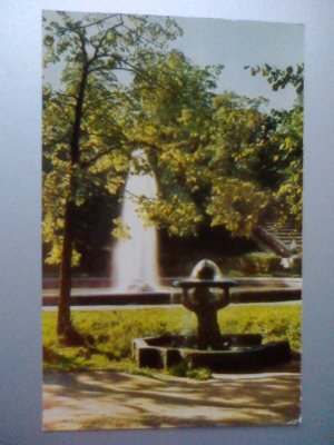 Petrodworez / Peterhof - Triton and Menagerie fountain - Brunnen - Petrodvorets Sankt Petersburg Russland (ungelaufen) Ansichtskarte