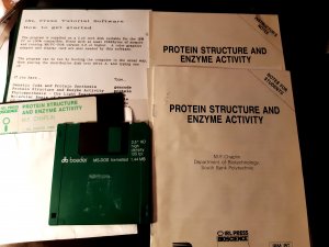 gebrauchtes Buch – M.F. Chaplin – Protein structure and enzyme activity