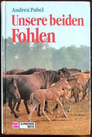 Unsere beiden Fohlen