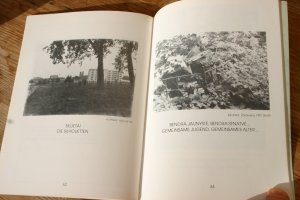 gebrauchtes Buch – Valiusaitis, Juozas / Natkevicius – Buchseite und Brunnen. Photographische Gedanken über die altjüdischen Friedhöfe in Litauen