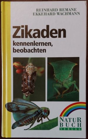 Zikaden kennenlernen, beobachten