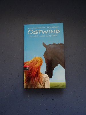 gebrauchtes Buch – Schmidbauer, Lea; Henn – Ostwind - Rückkehr nach Kaltenbach