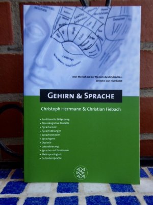 Gehirn und Sprache