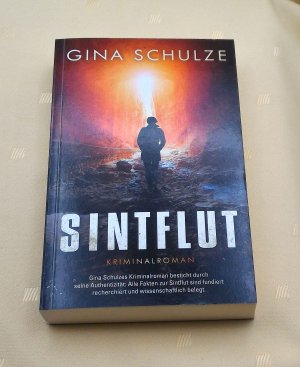 gebrauchtes Buch – Gina Schulze – Sintflut