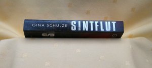 gebrauchtes Buch – Gina Schulze – Sintflut