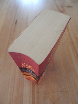 gebrauchtes Buch – Mark Fisher – Der Psychiater/ Bei Scheidung Mord.