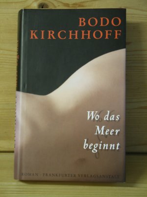 "wo das meer beginnt" roman