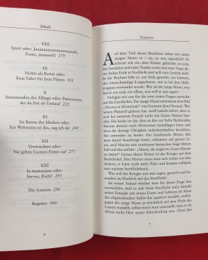 gebrauchtes Buch – Roth, Wolfgang; Sittner – Das Streiflicht - Verdeckte Ermittlungen zwischen Himmel und Hölle 2000-2004