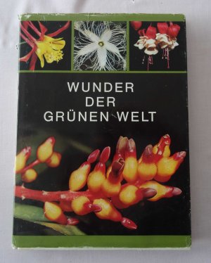 Wunder der grünen Welt