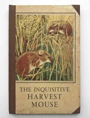 The inquisitive harvest mouse - A story for children - A LADYBIRD BOOK Series 497