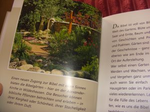 gebrauchtes Buch – Astrid Meinbrok – Bebauen und bewahren - Gartengedanken aus der Bibel