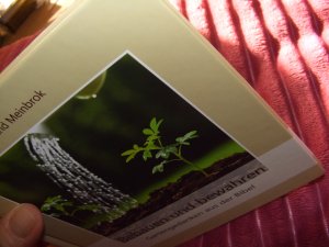 gebrauchtes Buch – Astrid Meinbrok – Bebauen und bewahren - Gartengedanken aus der Bibel