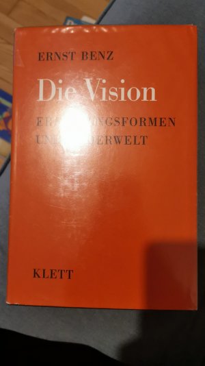 Die Vision : Erfahrungsformen und Bilderwelt.