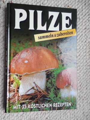 Pilze sammeln & zubereiten