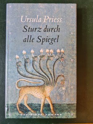 gebrauchtes Buch – Ursula Priess – Sturz durch alle Spiegel