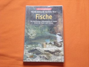 Fische. Die heimischen Süßwasserfische sowie Arten der Nord- und Ostsee.