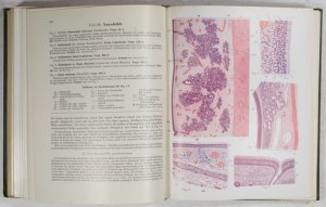 Atlas und Lehrbuch der Histologie und mikroskopischen Anatomie.