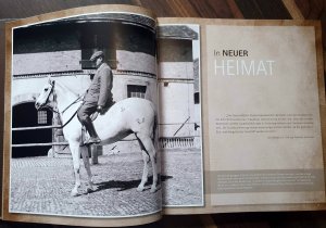 gebrauchtes Buch – Erhard Schulte – Trakehner- Familienalben erzählen - Besuche bei Züchtern und Gestüten