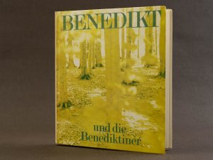 gebrauchtes Buch – Paulus Maria Hauke OSB  – Benedikt und die Benediktiner. Hinführung zu benediktinischem Denken