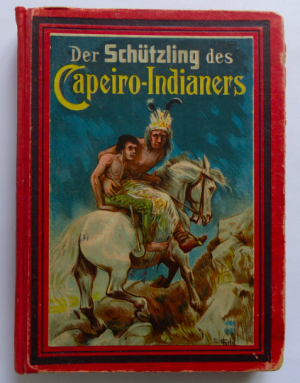 DER SCHÜTZLING DES CAPEIRO-INDIANERS  - Erlebnisse eines deutschen Knaben in den Urwäldern Brasiliens