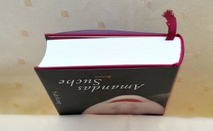 gebrauchtes Buch – Isabel Allende – Amandas Suche