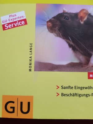 Ratten glücklich & gesund