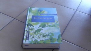 gebrauchtes Buch – Elinor Bicks – Silberregen