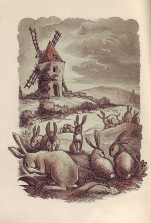 Lettres des mon moulin., Illustrations de André Collot.