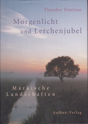 gebrauchtes Buch – Theodor Fontane – Morgenlicht und Lerchenjubel