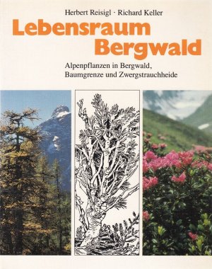 gebrauchtes Buch – Lebensraum Bergwald. Alpenpflanzen in Bergwald, Baumgrenze und Zwergstrauchheide