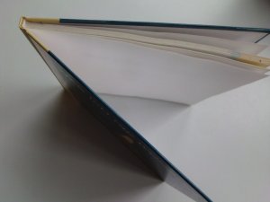 gebrauchtes Buch – Bräunlich, Heidi; Bräunlich, Hannes – Was ich Dir wünsche