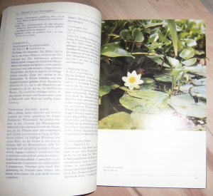 gebrauchtes Buch – Eberhard Schuster & Siegfried Sommer – Sumpf- und Wasserpflanzen für Garten und Landschaft