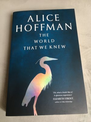 gebrauchtes Buch – Alice Hoffman – The World That We Knew