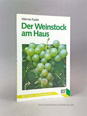 gebrauchtes Buch – Werner Fader – Der Weinstock am Haus.