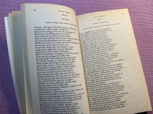 antiquarisches Buch – Shakespeare – Die Komödie der Irrungen. Rowohlt Klassiker 233