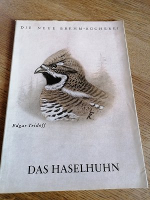 antiquarisches Buch – Edgar Teidoff – Das Haselhuhn. Die neue Brehm-Bücherei.