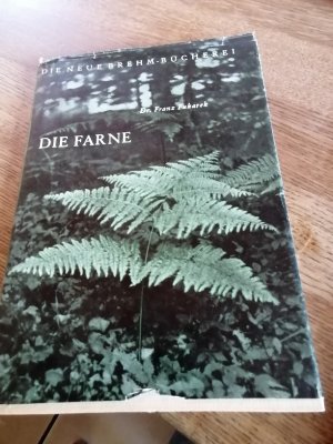 antiquarisches Buch – Franz Fukarek – Die Farne