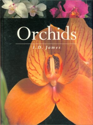 Orchids