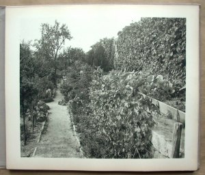 antiquarisches Buch – Martin Gerlach – Baum-, Wald- und Vordergrundstudien. 80 Lichtdrucktafeln nach photographischen Naturaufnahmen von Martin Gerlach. [Die Quelle. Band IX.]